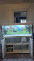 Juwel Aquarium 240L