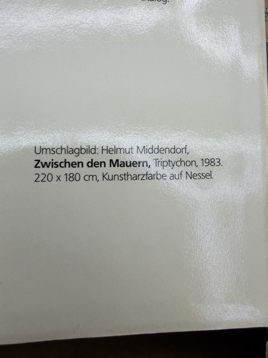 Libri: Die neuen wilden in Berlin – Usato da Wettingen venduto da NickInc 9