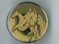 Pferdemotiv, Pin
