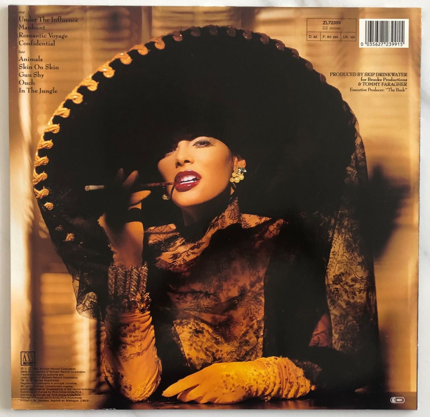 Dischi in vinile: VANITY - SKIN ON SKIN – Usato da Poliez-Pittet venduto da Newtown-Records 1