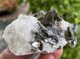 Sehr schöne Muskovit Glimmer Stufe Binntal 