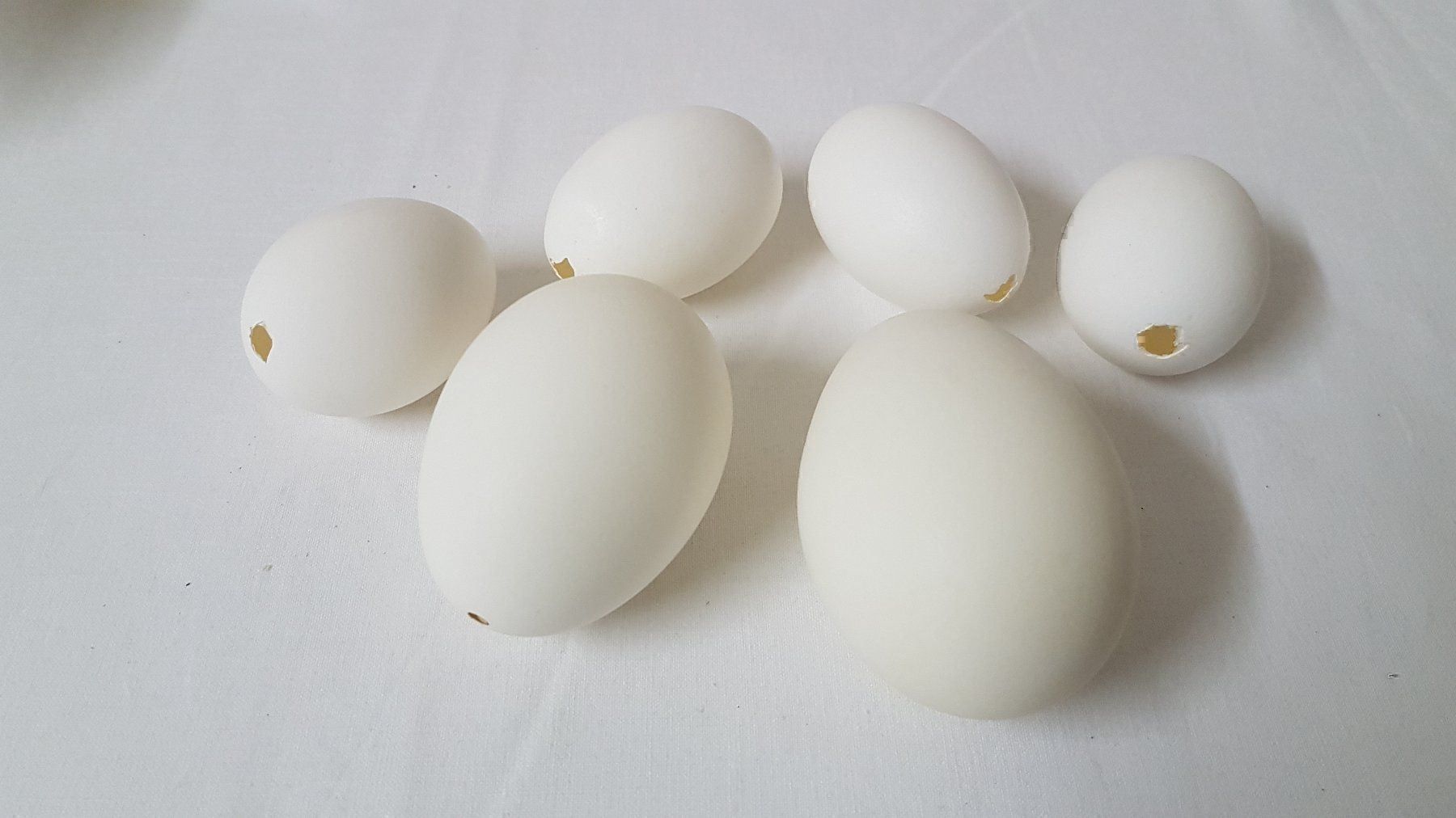 Tutte le decorazioni: ausgeblasene Gänse- / Hühner Eier – Usato da Thun venduto da Nordkapp