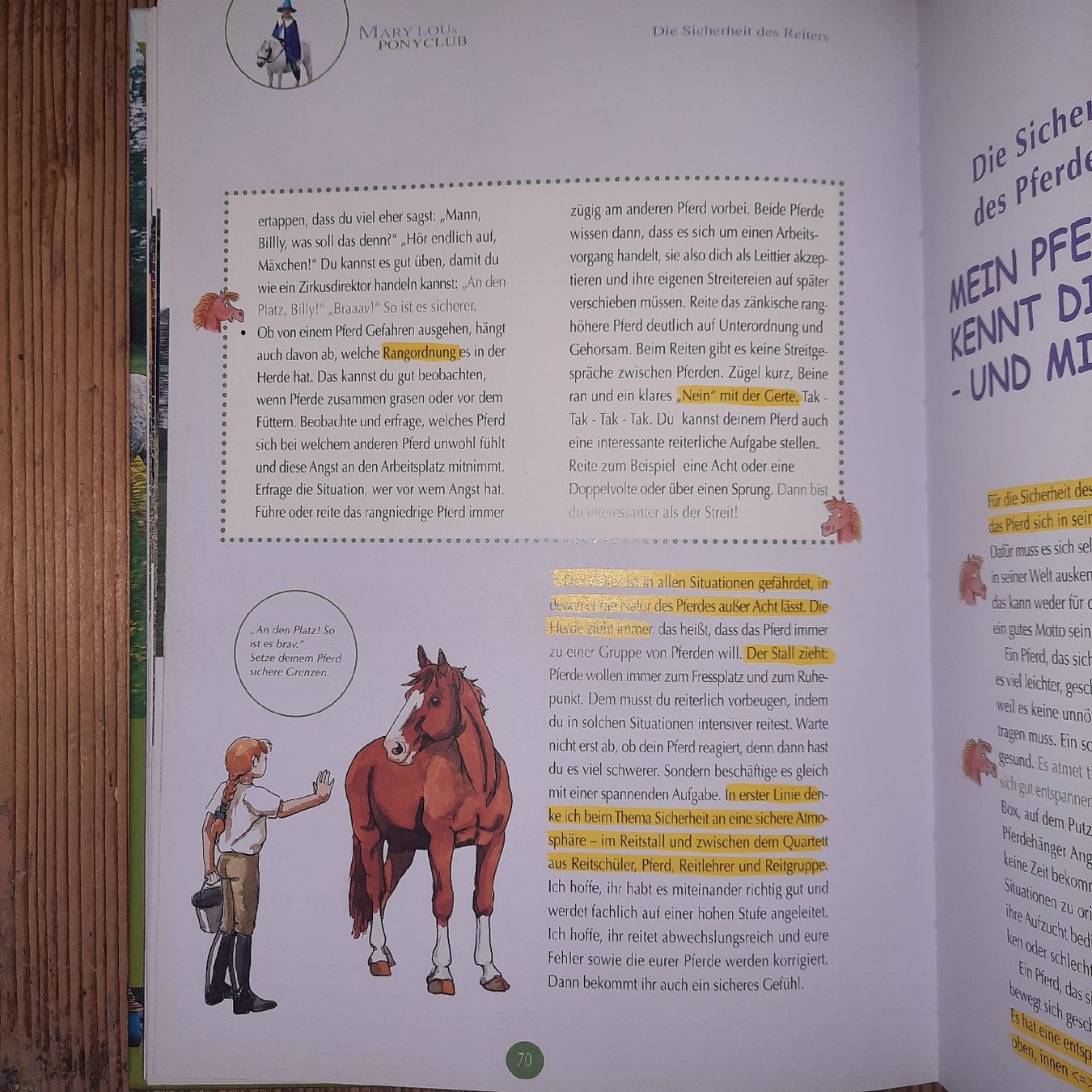 Bücher: Mary Lous Ponyclub – Neu (gemäss Beschreibung) aus Riedikon von cor_7jcd 2