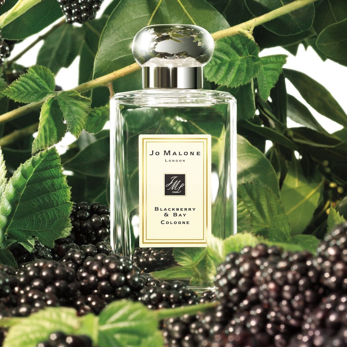 Jo Malone Profumi & Eau de Toilette: Jo Malone Cologne Samples Set 3pcs – Nuovo (secondo la descrizione) da Teufen AR venduto da amo_hz5k 3