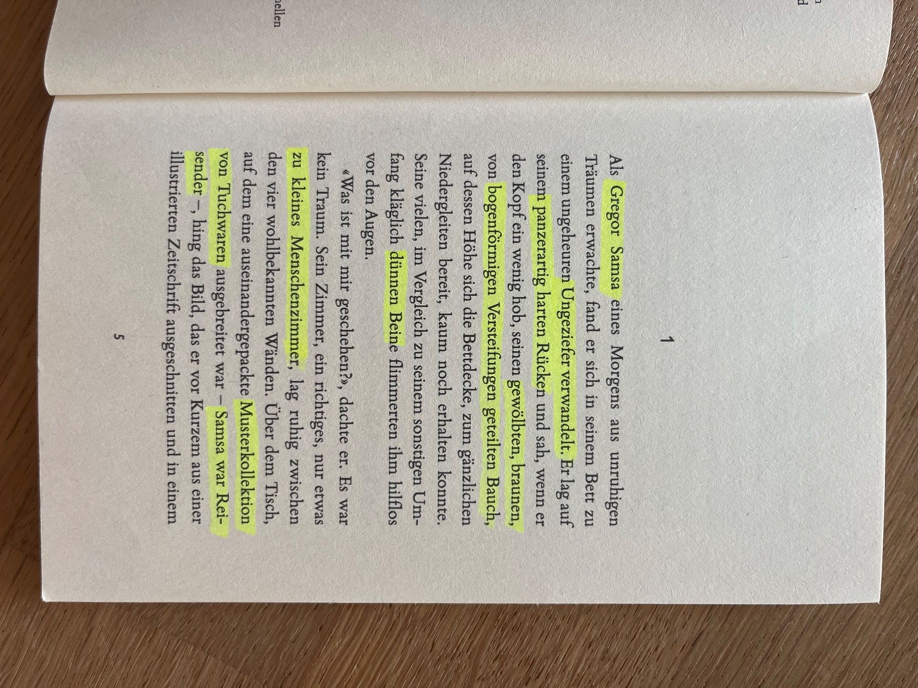 Libri: Die Verwandlung - Franz Kafka – Usato da Laupen BE venduto da lee_ym6v 4
