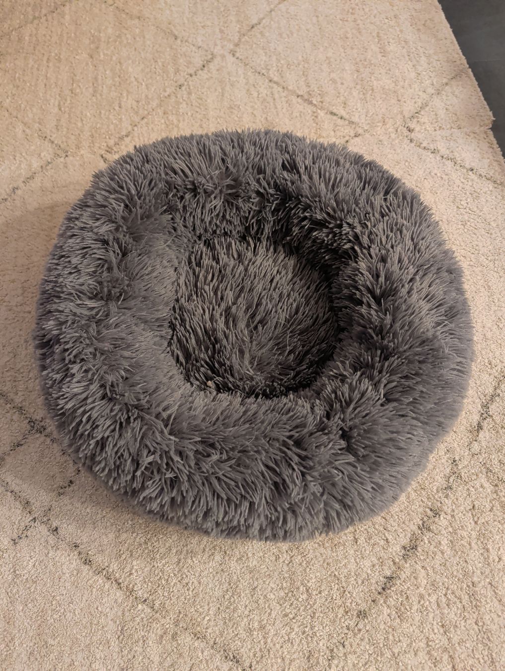 Swisspet Cucce & Letti: Katzenbett 55cm – Nuovo (secondo la descrizione) da Dettighofen venduto da salocin89