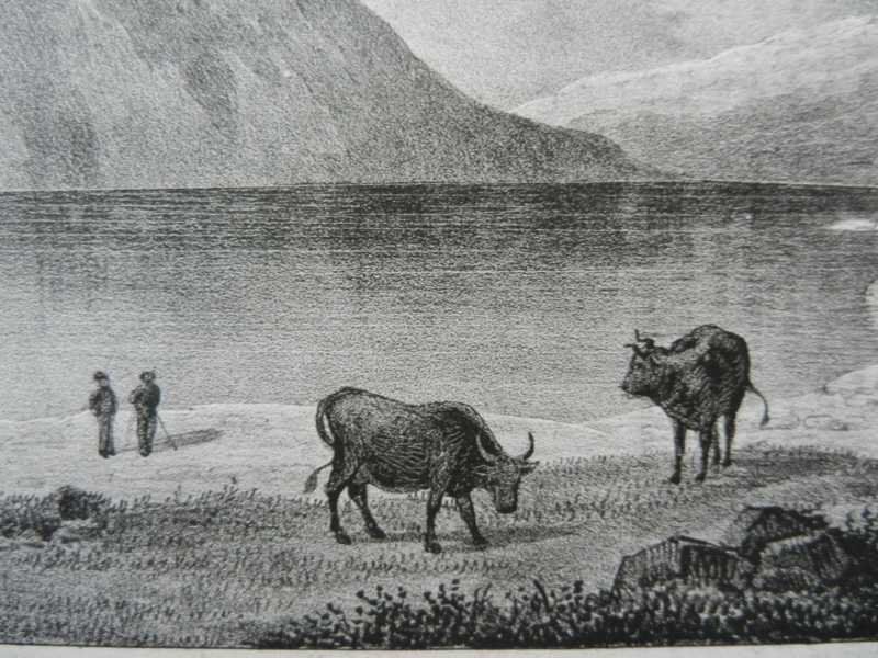 Incisioni: Oberalpsee Andermatt Sedrun – Usato da Risch venduto da Rischli15 7