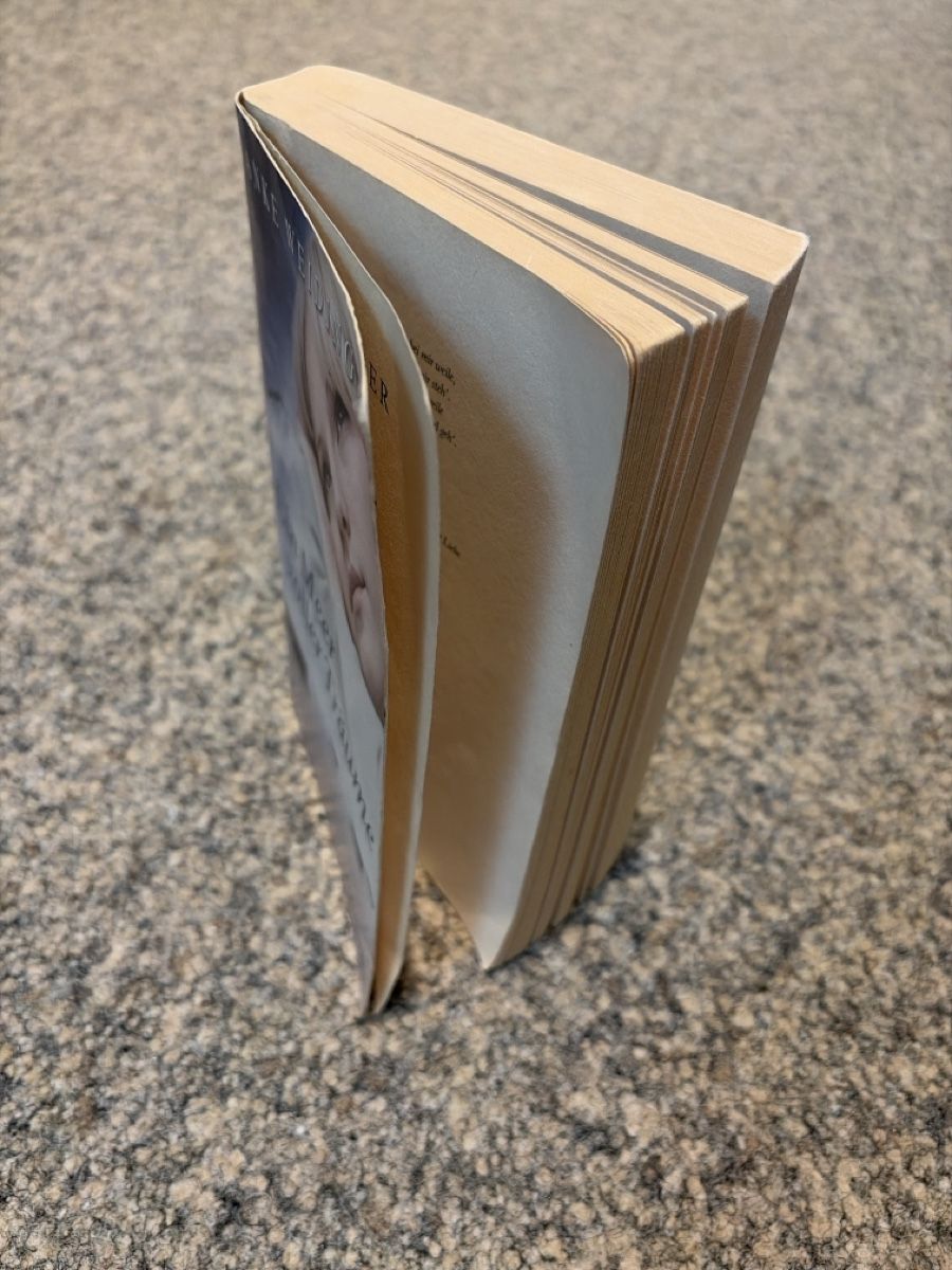Libri: Ein Meer voller Träume - Anke Weidinger – Usato da Oberentfelden venduto da mir_y2yj 3