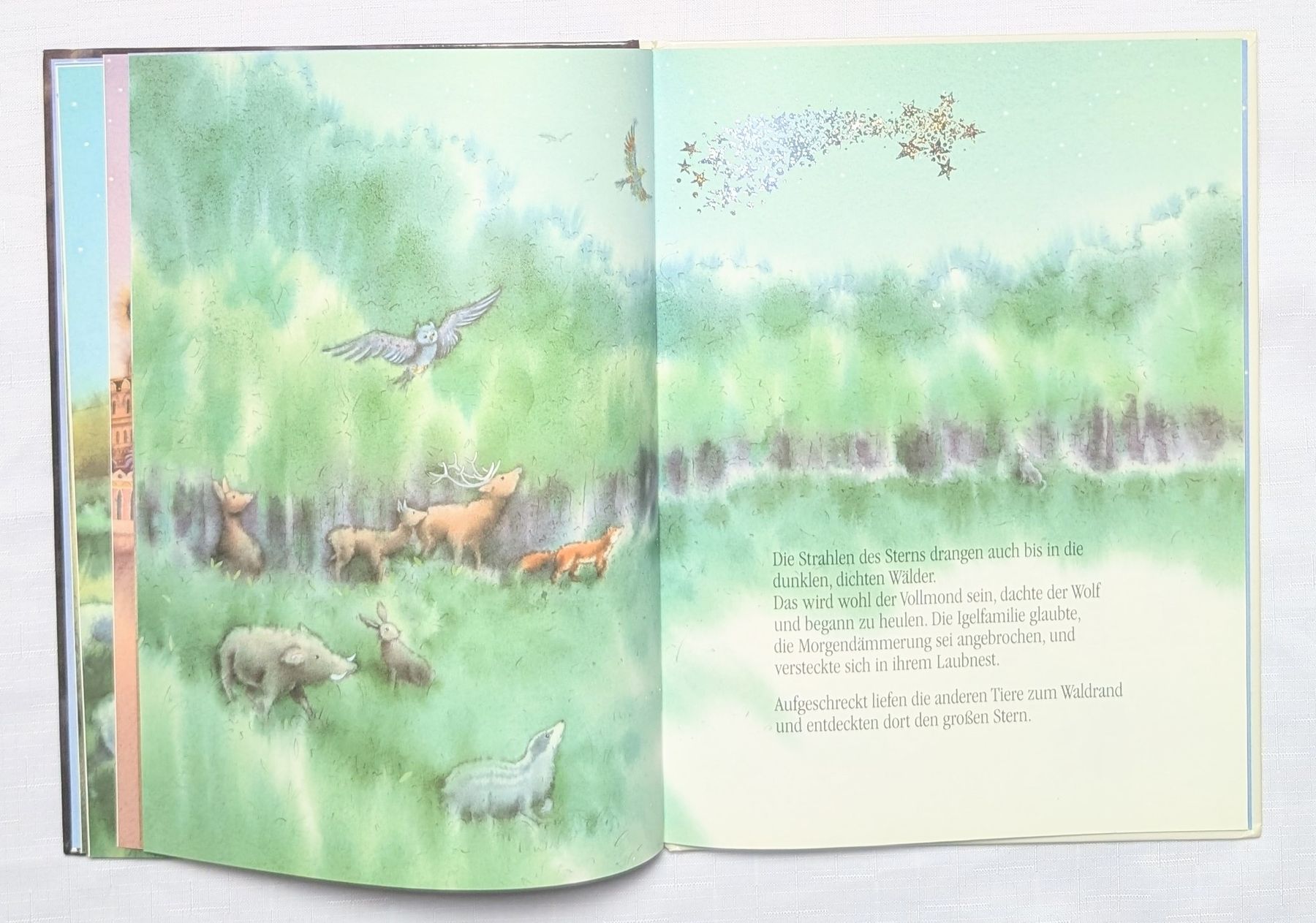 Libri: Der Weihnachtsstern - Marcus Pfister – Nuovo (secondo la descrizione) da Wängi venduto da ABIZONE-86 3