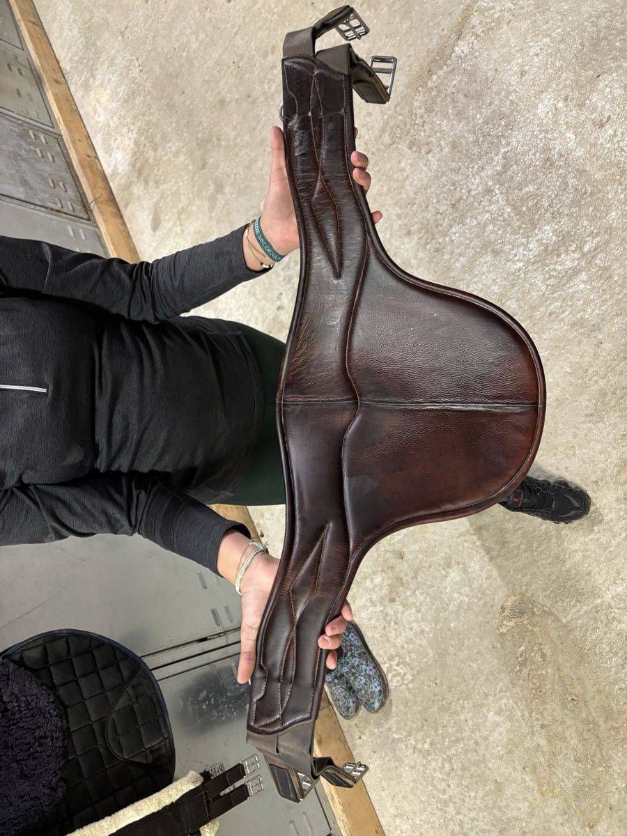 Selle & Accessori: Sangle CWD – Usato da Grandvaux venduto da mal_6chl 1