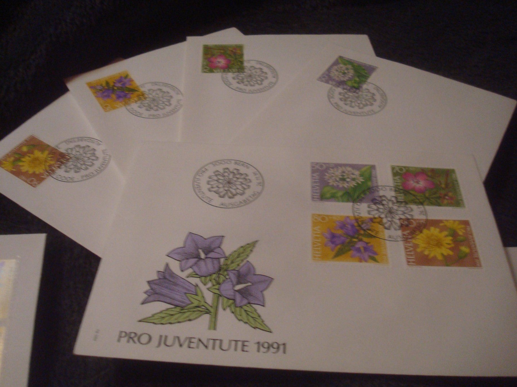 Tutti i francobolli: PJ 1991 FDC Serie einzeln u 4er – Usato da Gordola venduto da Polentaefung 1