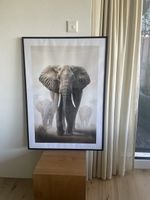 Bild Elefanten Afrika gerahmt 100x70 cm guter Zustand