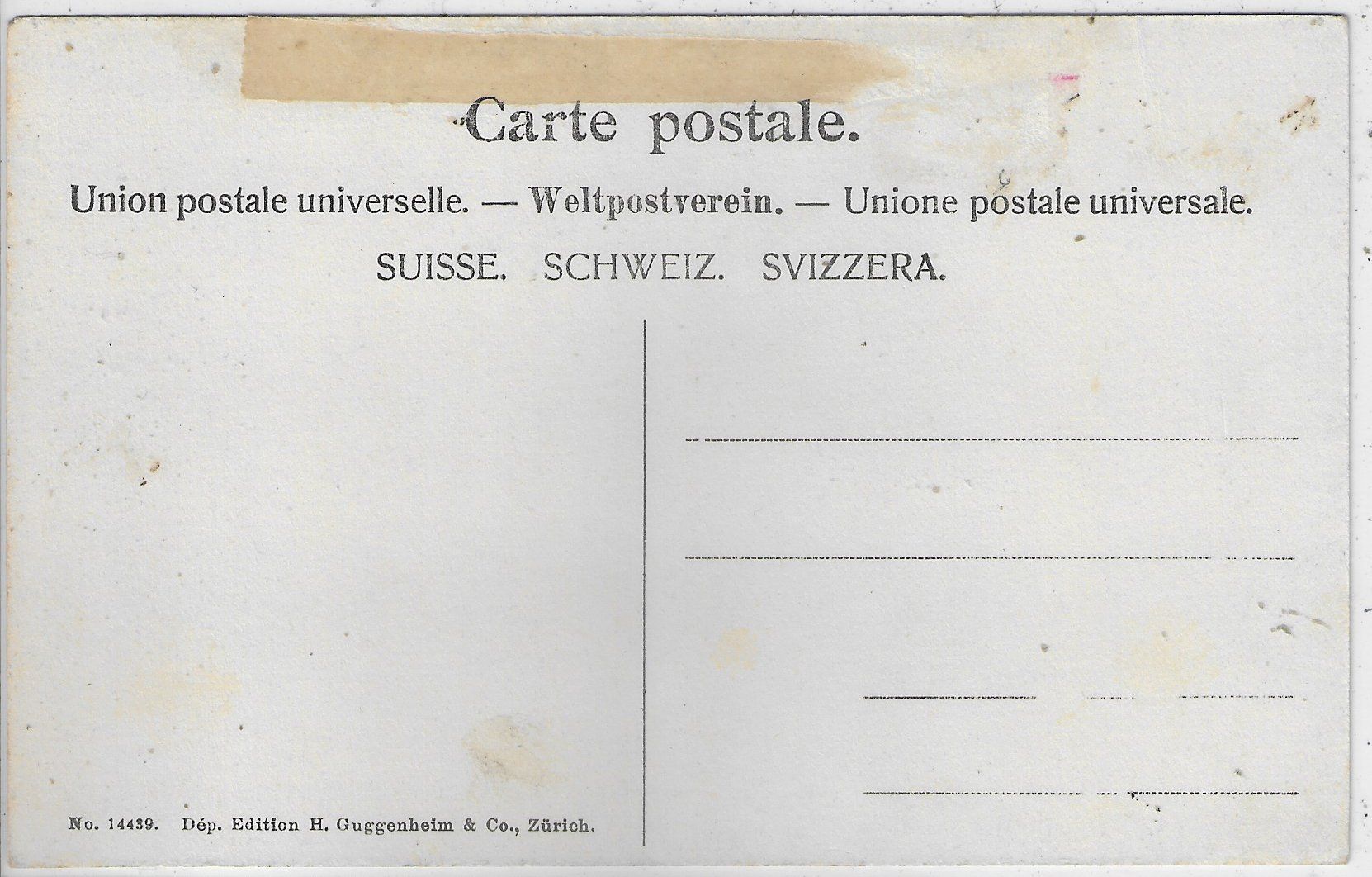 Cartoline postali: Ragaz - Edelweiss-Karte – Usato da Ettingen venduto da Kartenplanet 1