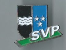 Placchette & Badge: SVP  Aargau/ Pin – Usato da Zürich venduto da t24_de