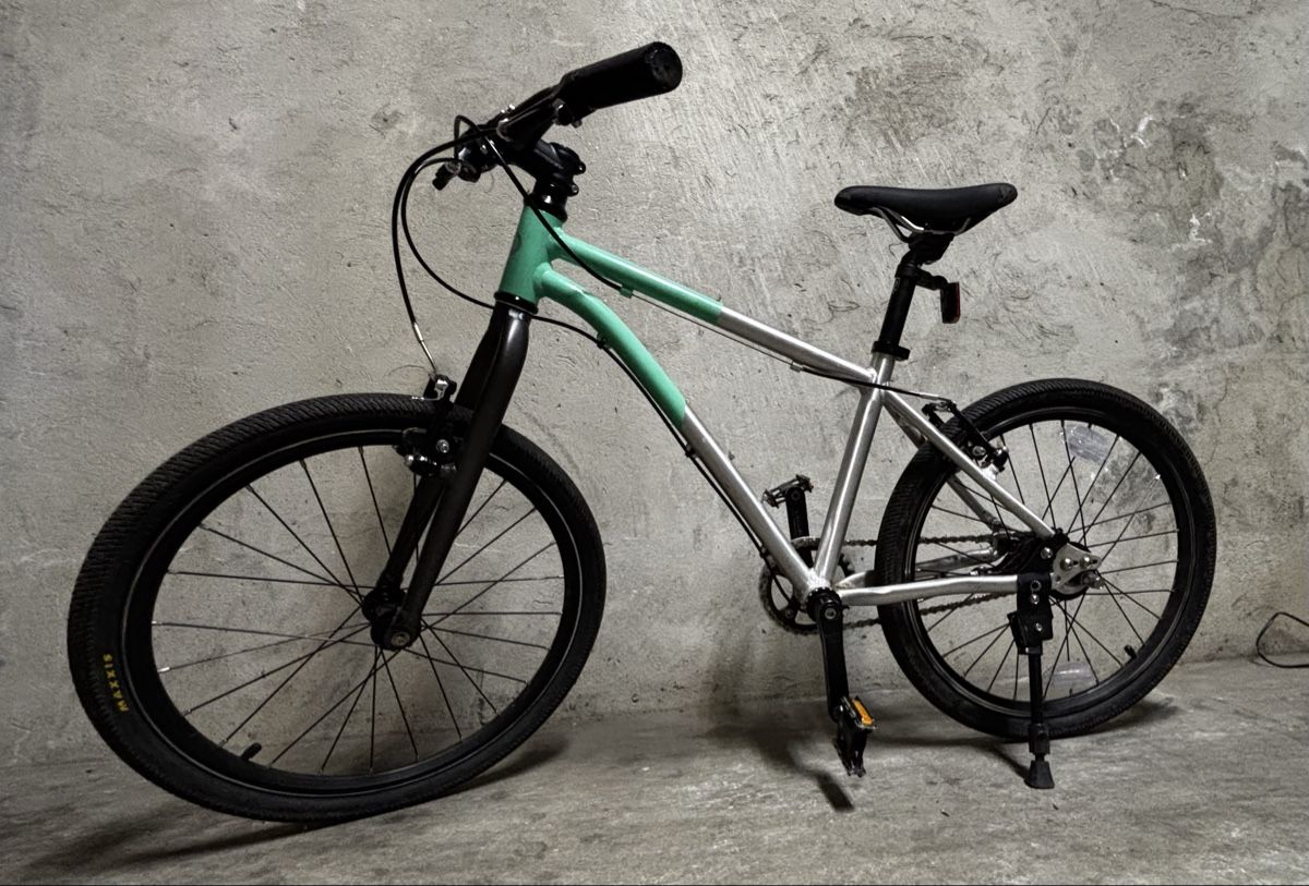 Biciclette: Easy Rider Urban 24 – Usato da Basel venduto da motam 1