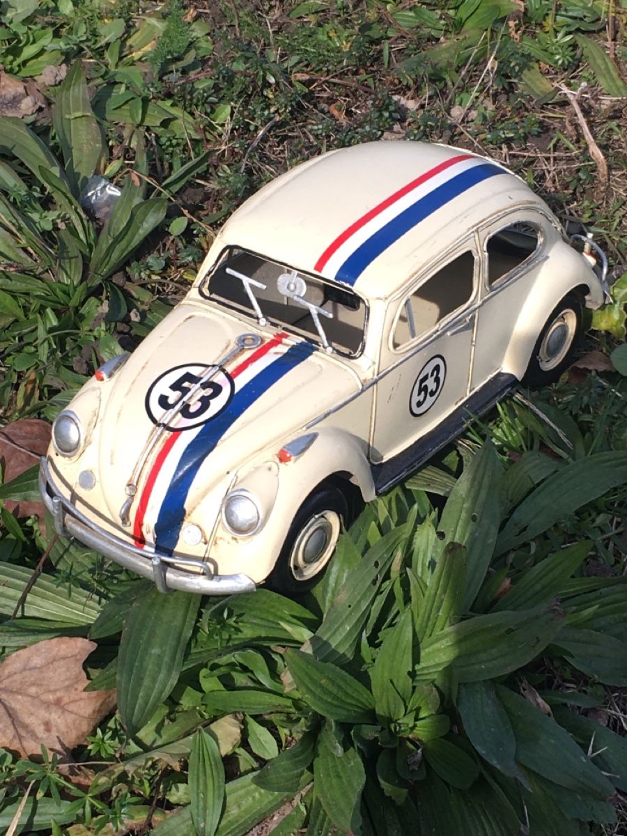 Modellautos: HERBIE 53 der Käfer – Gebraucht aus Wangen b. Olten von  1