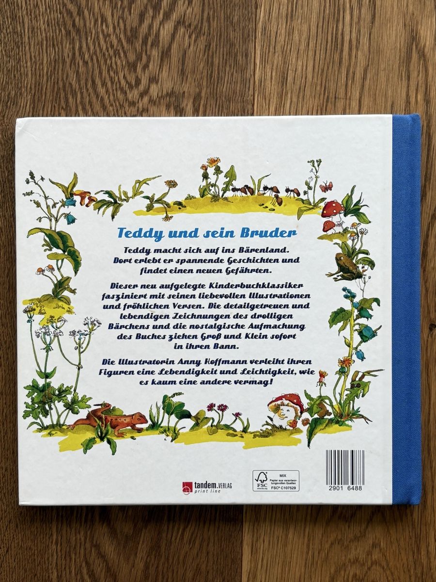 Bücher: Teddy und sein Bruder - Kinderbuch Klassiker, Top! – Gebraucht aus Horgen von Rafnaf 1