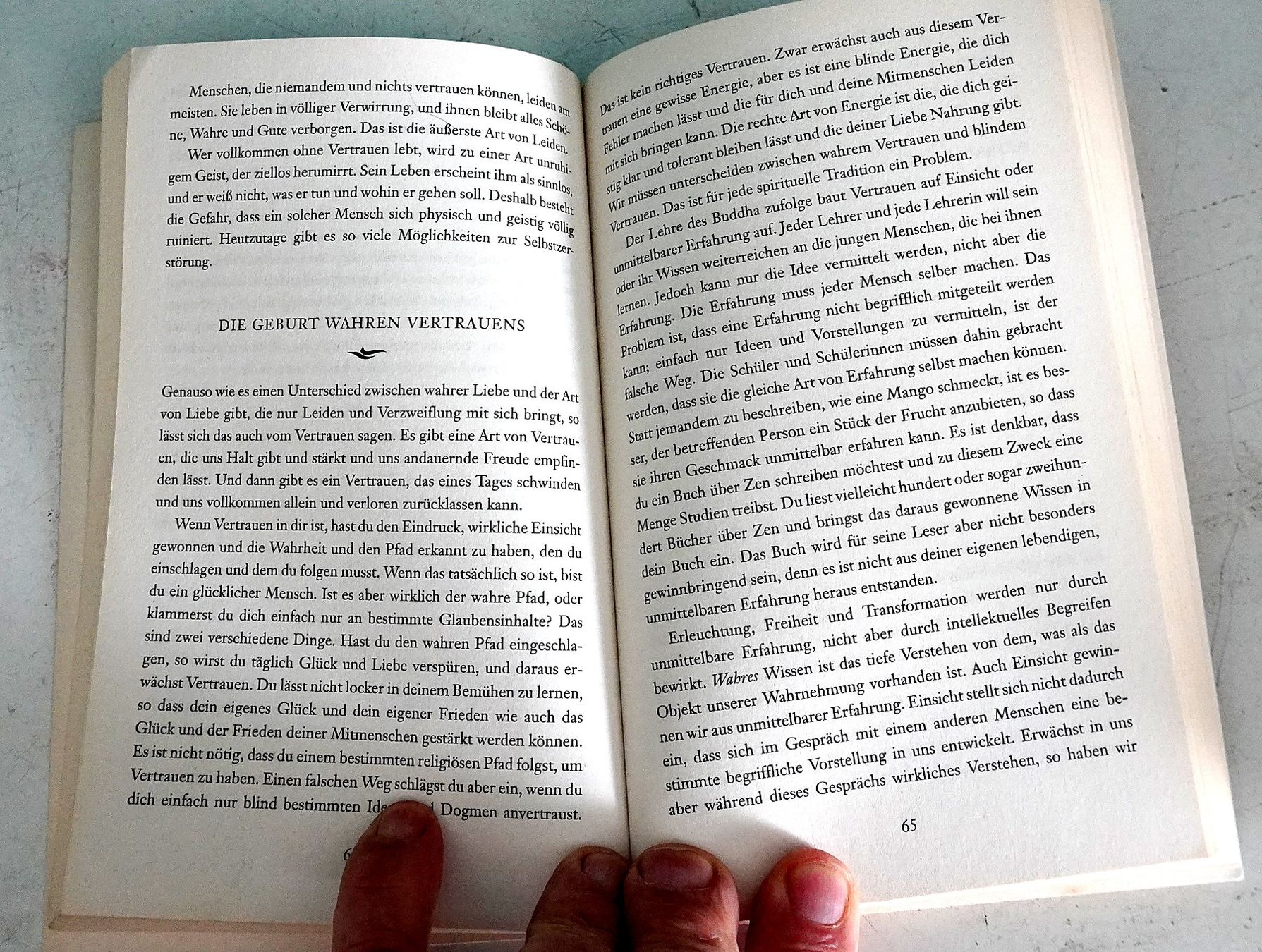 Libri: Thich Nhat Hanh Jesus und Buddha- – Usato da Baar venduto da 2cvbaar 1