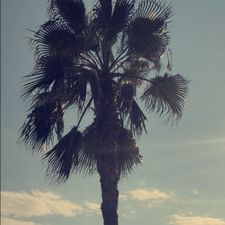 Profile image of bokinoki_