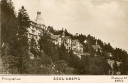 Seelisberg  UR