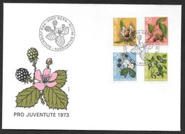 FDC Pro Juventute Serie 1973 J244 - J247 ET Bern 29.11.1973