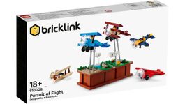 910028 Der Traum vom Fliegen
