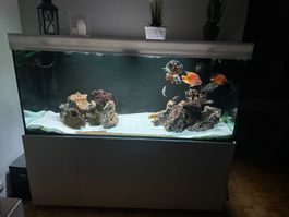 Aquarium XXL 810L Complet + Fluval FX6 & Eheim