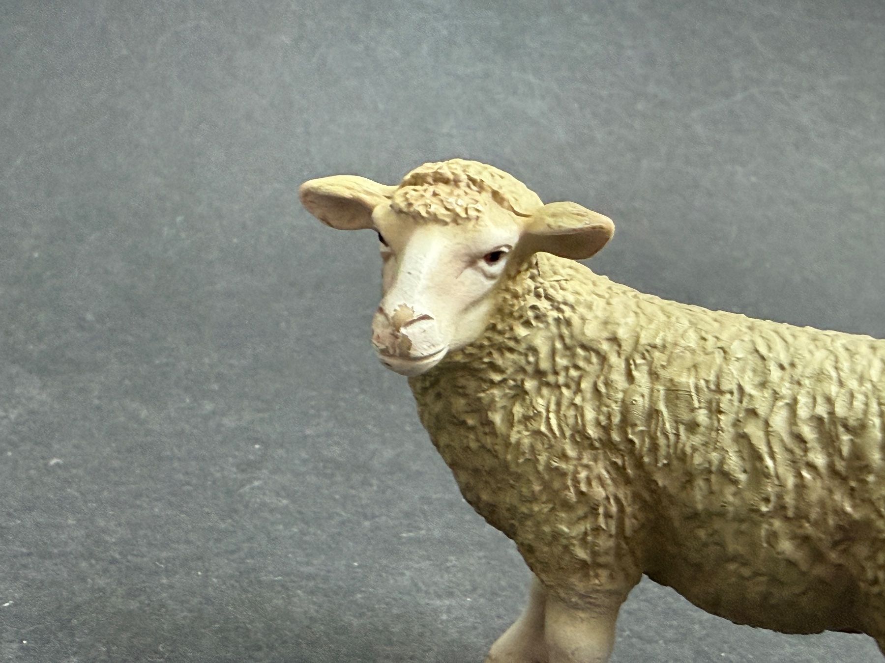 Schleich Statuette: Schleich Schaf Lamm Schafe Schafbock – Usato da Ennetbaden venduto da mapa05 3
