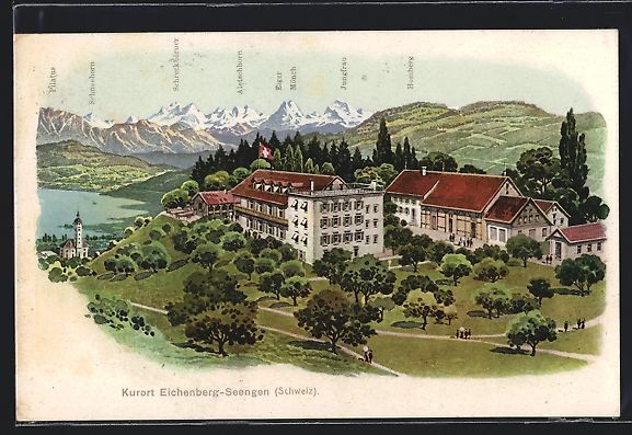 Ansichtskarten: Litho Seengen, Panoramablick auf das Kur – Gebraucht aus Berlin von bartko-reher
