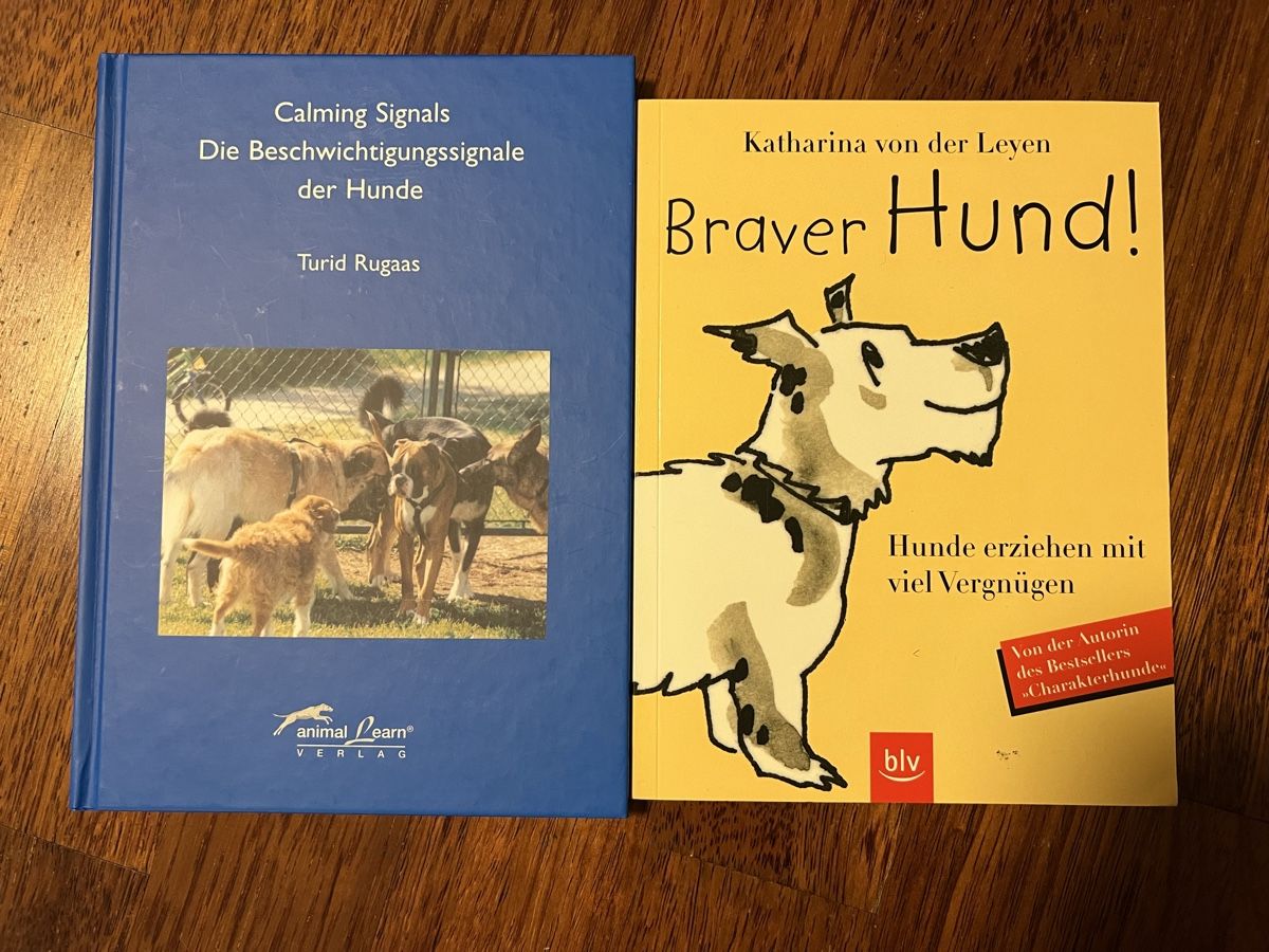 Libri: Bücher für Hundehalter – Nuovo (secondo la descrizione) da Schwerzenbach venduto da sas_7t7r