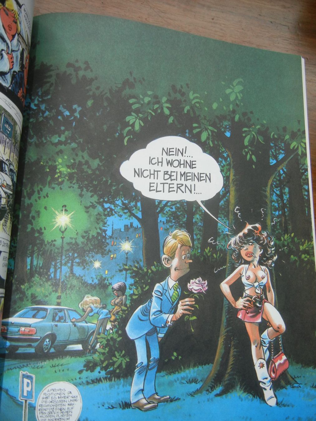 Fumetti: Comic Erotik - Dany - Höhepunkte! Nr. 1 – Nuovo (secondo la descrizione) da Langendorf venduto da sonntag10 6