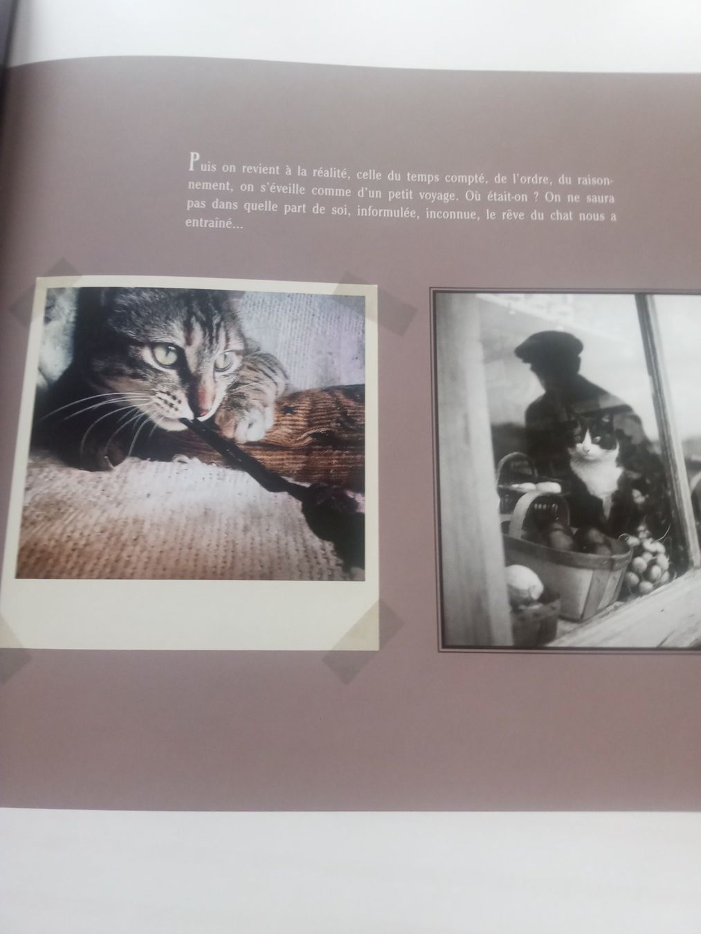 Libri: Anny Duperey CHATS – Usato da Biel/Bienne venduto da Ganesh12 6