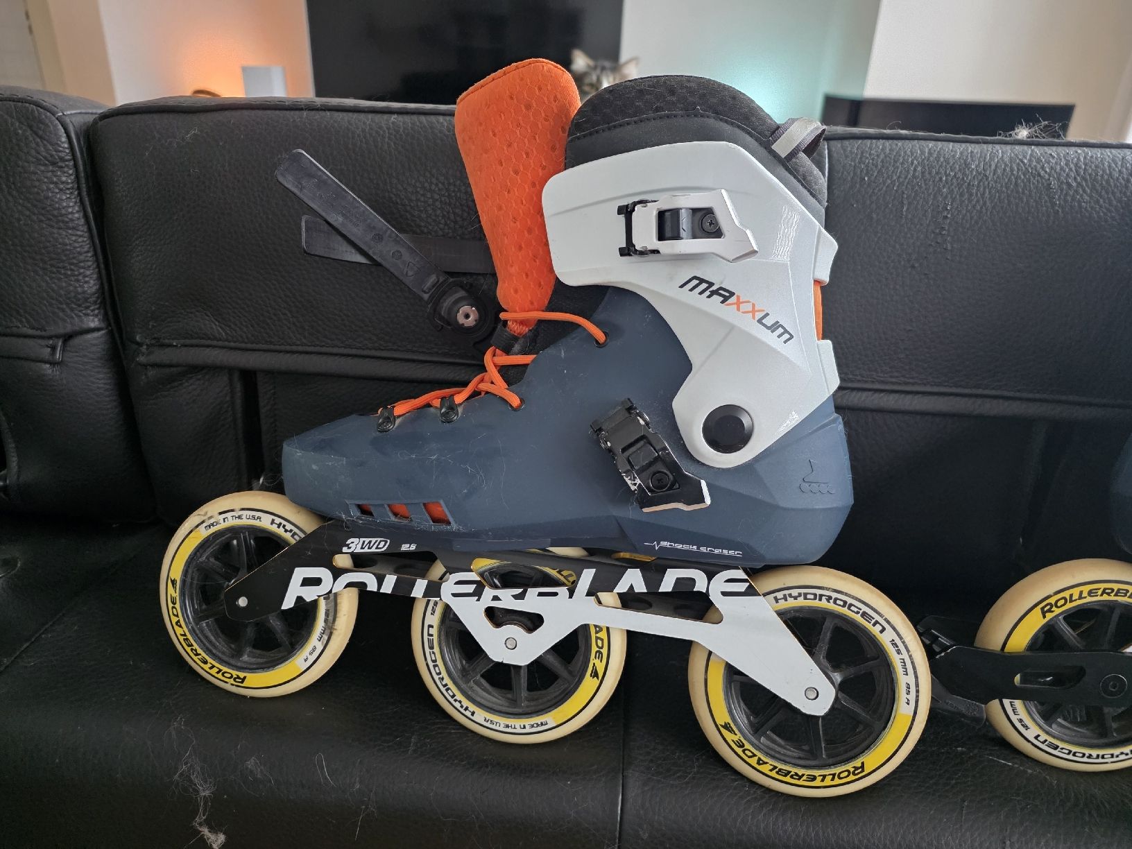 Pattini in linea & Pattini a rotelle: Rollerblade Maxxum 150mm Inline Skates  – Usato da Bassersdorf venduto da elvenditor 2