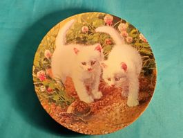 Sammelteller, 2 weisse Katzen, Amy Brackenbury, 1987
