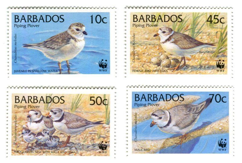Alle Briefmarken: Briefmarken "Vögel". Barbados. – Neu und originalverpackt aus Basel von Butsch5