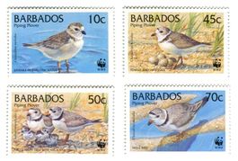 Briefmarken "Vögel". Barbados.