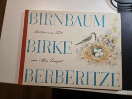 Kinder Buch: Birnbaum Birke Berberitze Alois Carigiet 1969