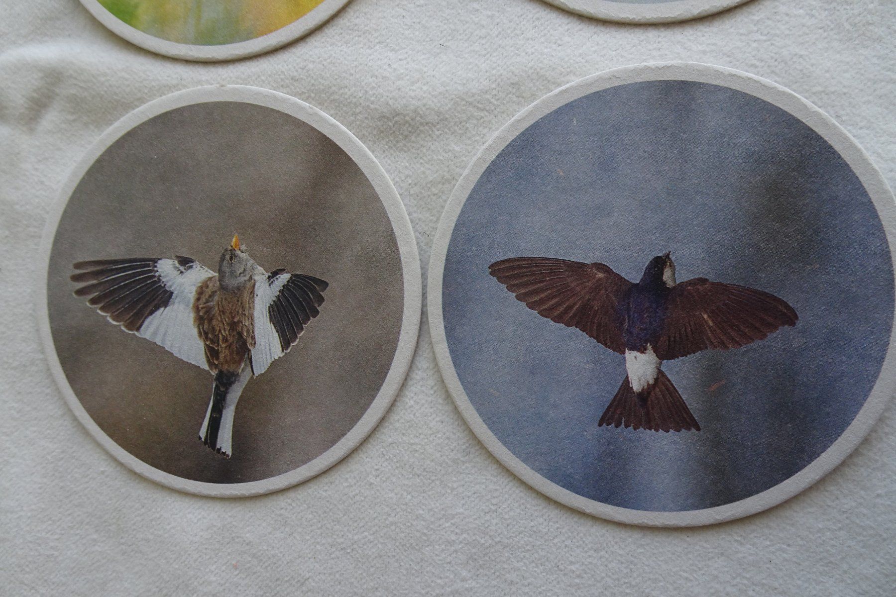 Untersetzer: 4 Glasuntersetzer Vögel Durchmesser ca. 10.5 cm – Gebraucht aus Strengelbach von schmetterling20 2