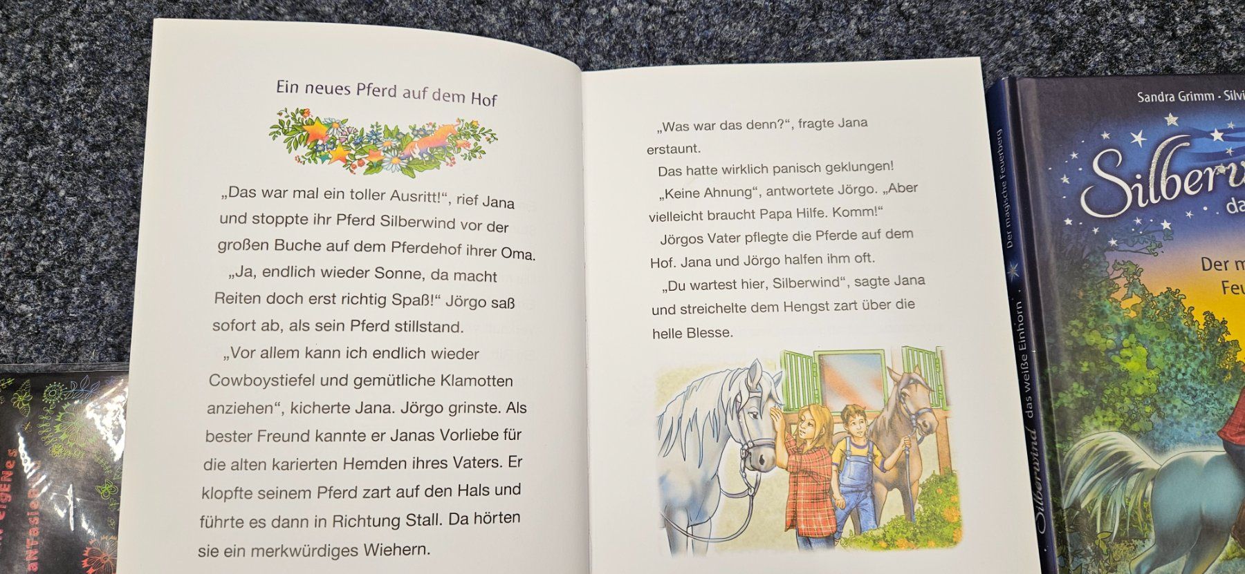 Libri: 2x Silberwind - das weisse Einhorn – Usato da Balgach venduto da silvia2030 2