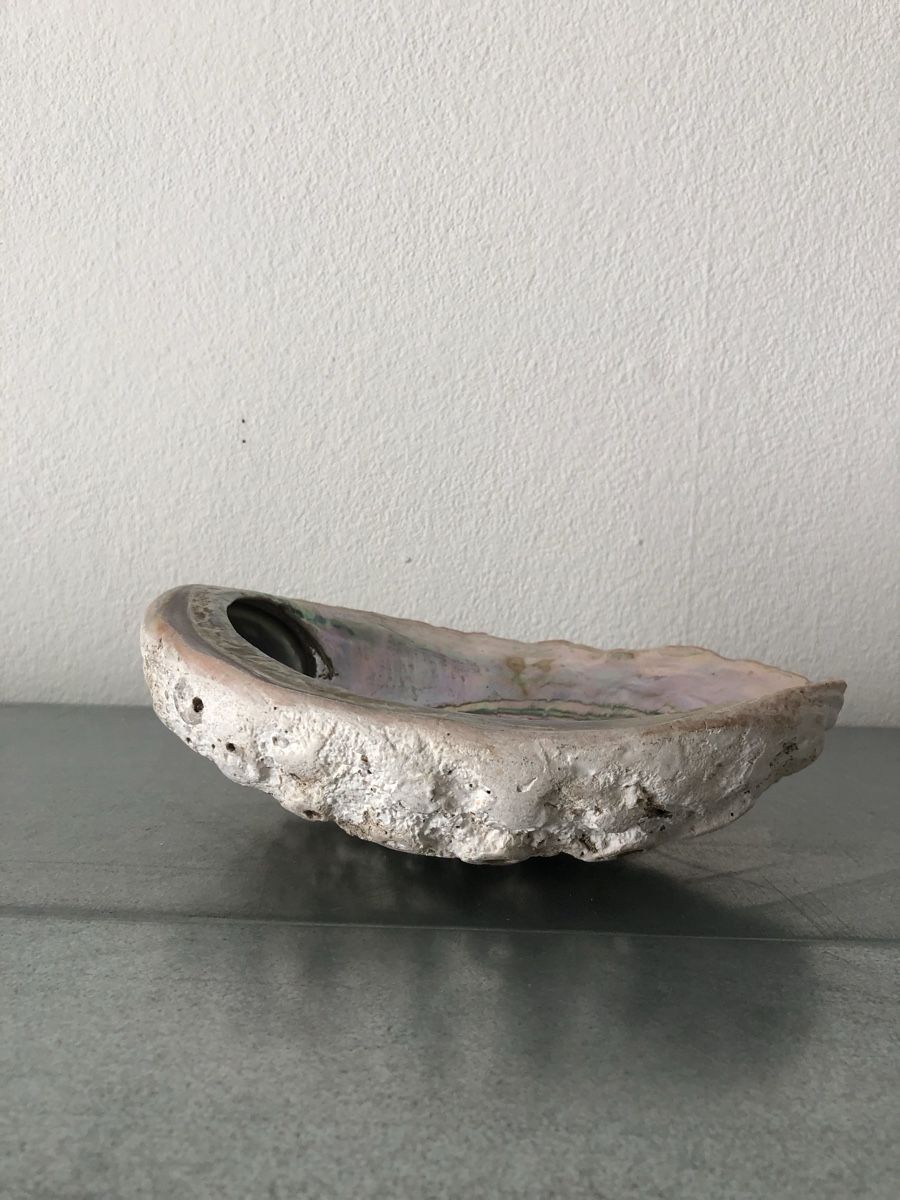 Minerali & Pietre curative: Schöne große Abalone-Muschel – Usato da Basel venduto da Amechan. 7
