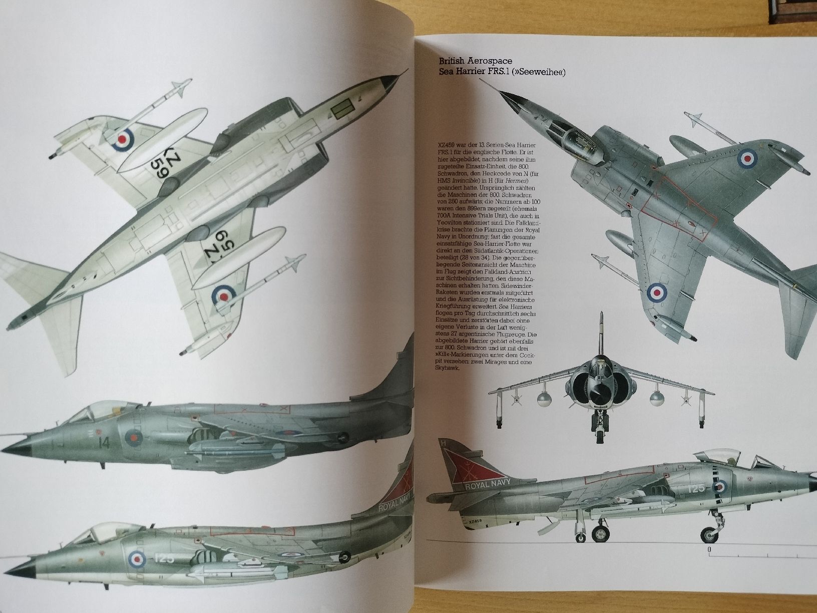 Libri: Buch , Militär Flugzeuge – Usato da Schwanden Sigrisw venduto da len_9yqg 3