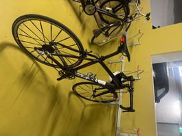 Isaac Carbon Rennvelo