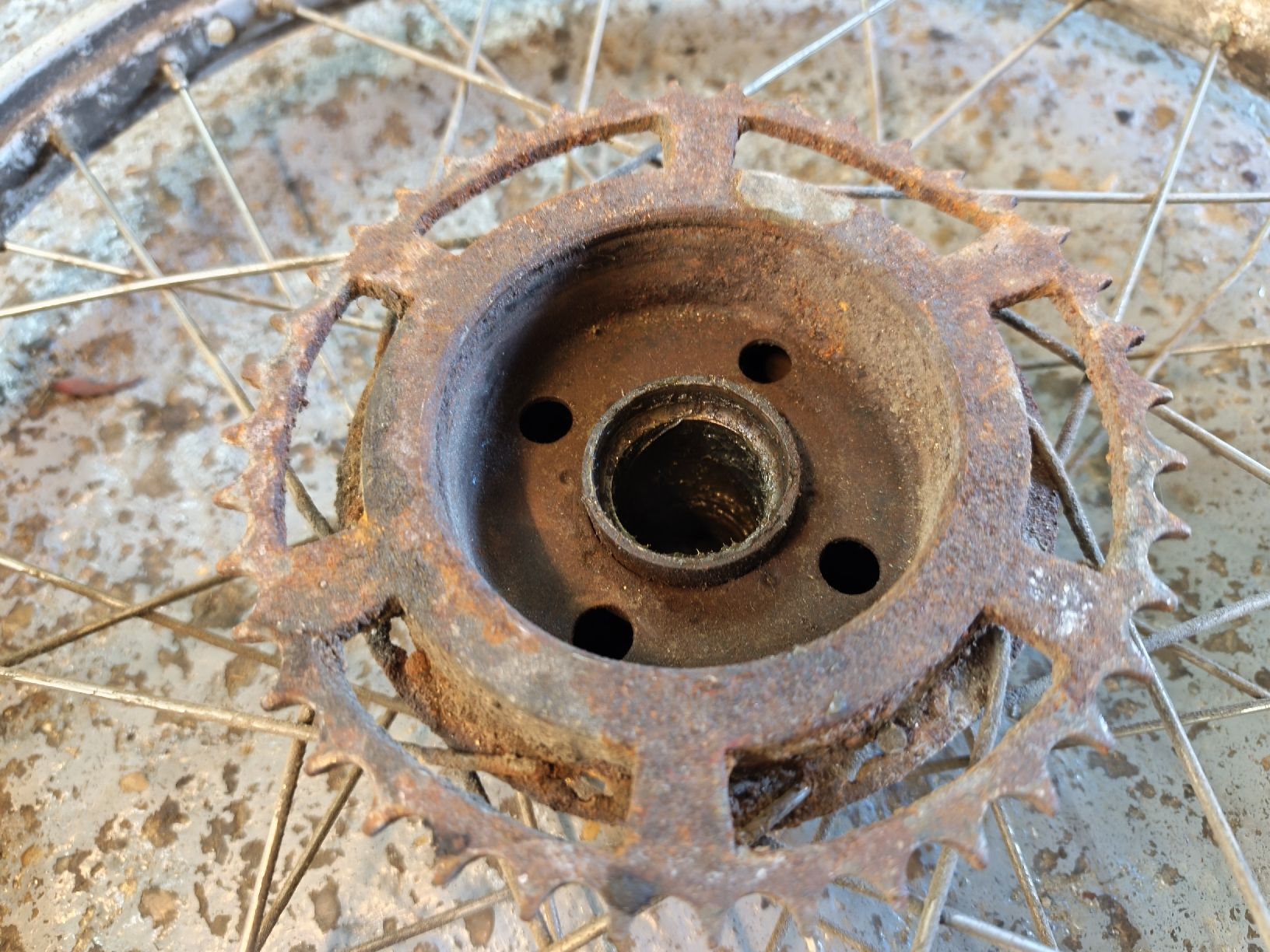 Pneus & Kompletträder: Rücktritträder Puch / Sachs – Defekt aus Münchwilen TG von Denso33 5