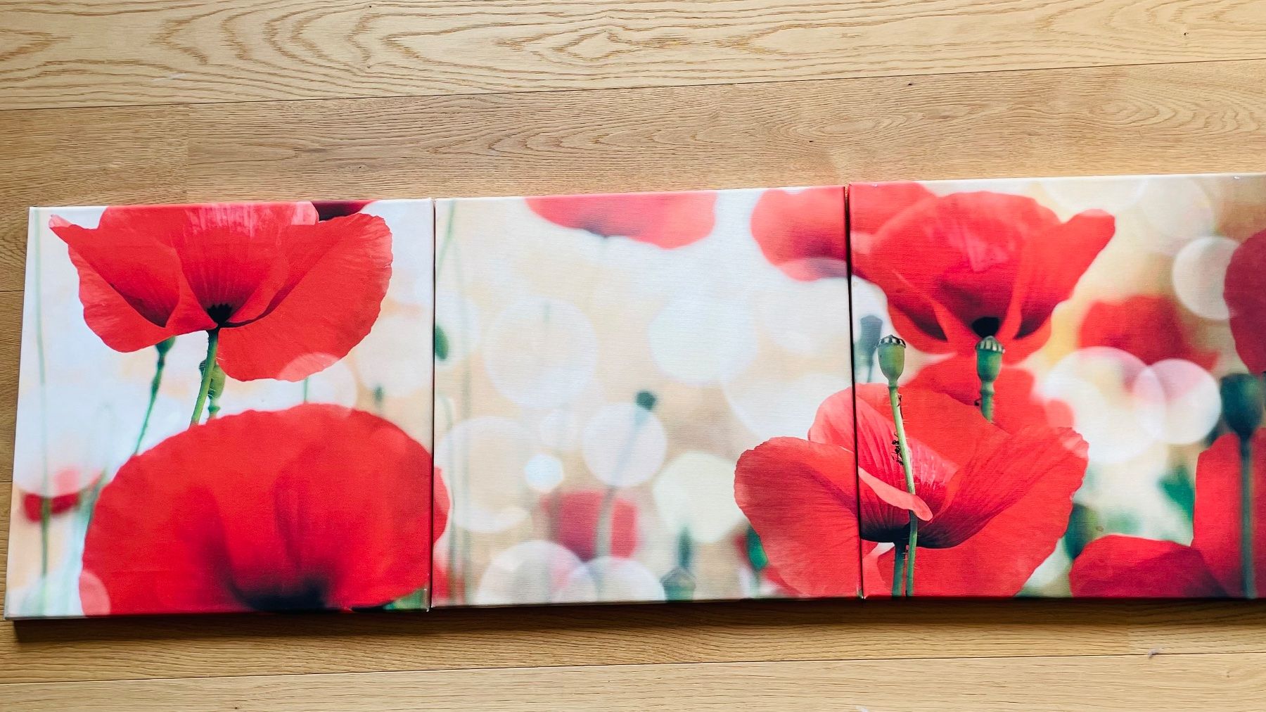 Poster & Bilder: Mohnblumen Wandbild 3er Set – Gebraucht aus Neuhausen von rut_c5dk 2