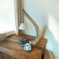 Exklusive Wurzel Lampe Stehlampe