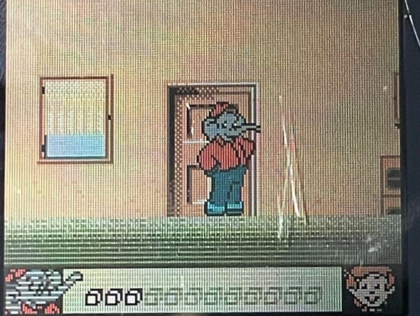 Nintendo Giochi: Benjamin Bluemchen: Ein verrueckter Tag im Zoo - top – Usato da Zuerich venduto da Dorsi 4