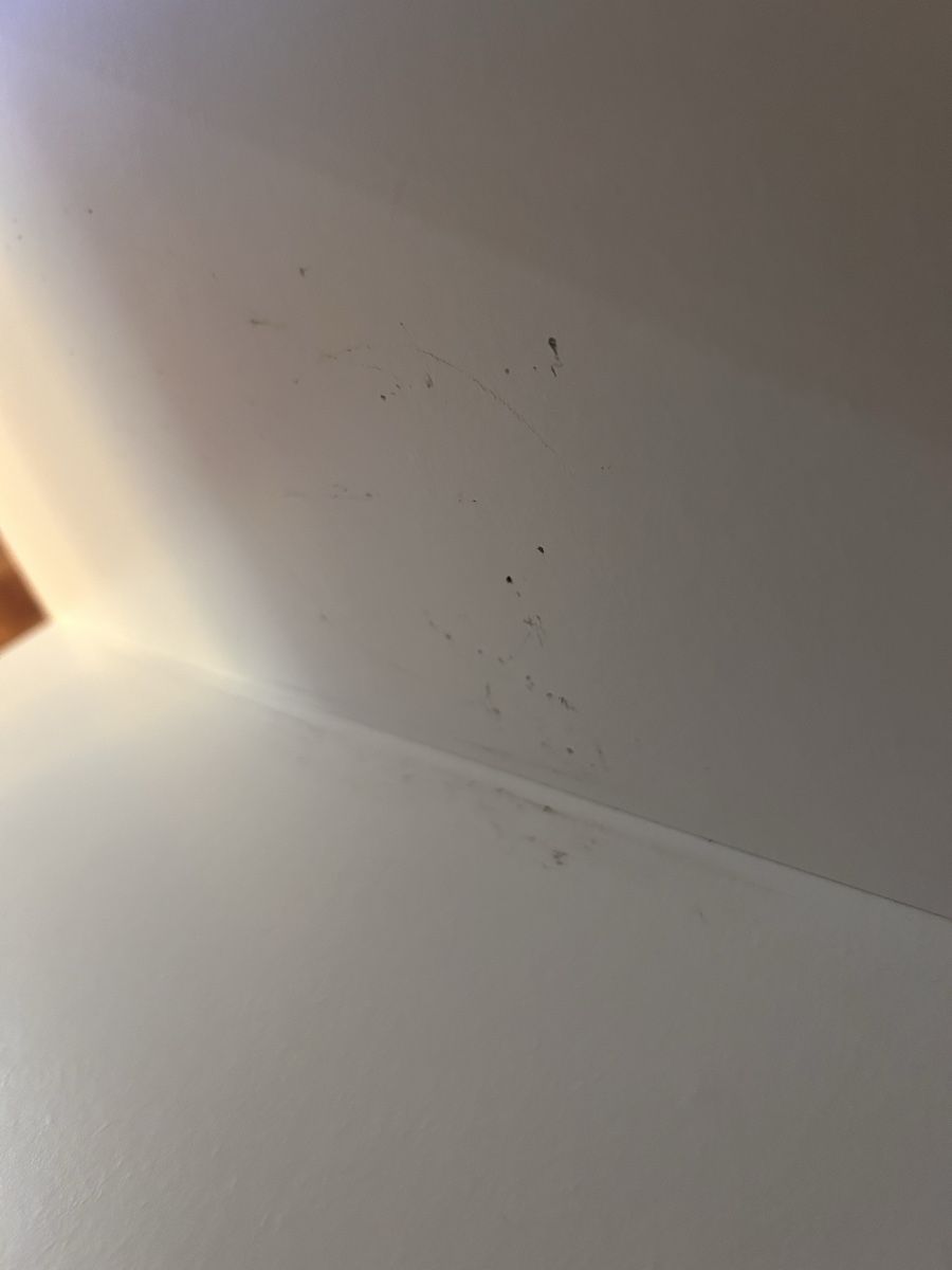 Tavoli: Holz Couchtisch mit Fächern – Usato da Zürich venduto da mandy013 6