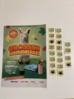 Coop Grosser Sammelspass 20 lose Märkli