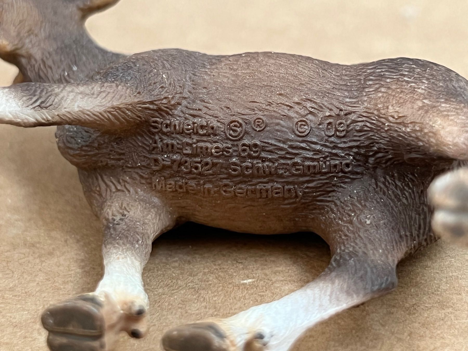 Schleich Statuette: Schleich 14620 Elch Kuh – Usato da Ennetbaden venduto da mapa05 4