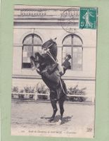 Frankreich Ecole de Cavalerie Saumur Courbette Militär 1910